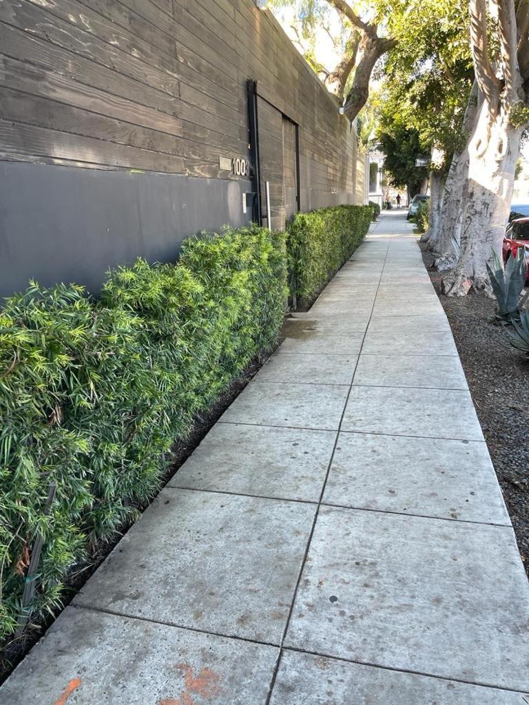 Venice With Large Private Patio Steps To The